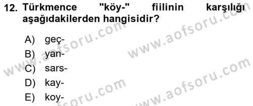 Çağdaş Türk Yazı Dilleri 1 Dersi 2018 - 2019 Yılı Yaz Okulu Sınav Soruları 12. Soru