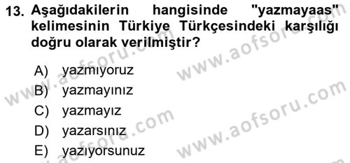 Çağdaş Türk Yazı Dilleri 1 Dersi 2018 - 2019 Yılı Yaz Okulu Sınav Soruları 13. Soru