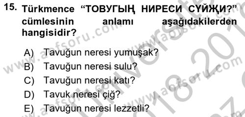 Çağdaş Türk Yazı Dilleri 1 Dersi 2018 - 2019 Yılı Yaz Okulu Sınav Soruları 15. Soru