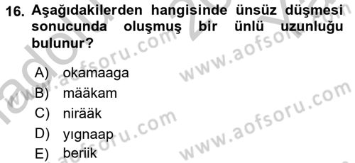 Çağdaş Türk Yazı Dilleri 1 Dersi 2018 - 2019 Yılı Yaz Okulu Sınav Soruları 16. Soru