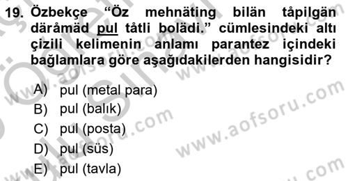 Çağdaş Türk Yazı Dilleri 1 Dersi 2018 - 2019 Yılı Yaz Okulu Sınav Soruları 19. Soru