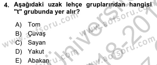 Çağdaş Türk Yazı Dilleri 1 Dersi 2018 - 2019 Yılı Yaz Okulu Sınav Soruları 4. Soru