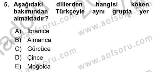 Çağdaş Türk Yazı Dilleri 1 Dersi 2018 - 2019 Yılı Yaz Okulu Sınav Soruları 5. Soru