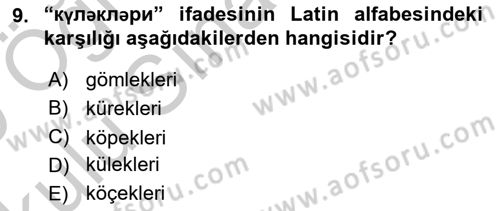 Çağdaş Türk Yazı Dilleri 1 Dersi 2018 - 2019 Yılı Yaz Okulu Sınav Soruları 9. Soru