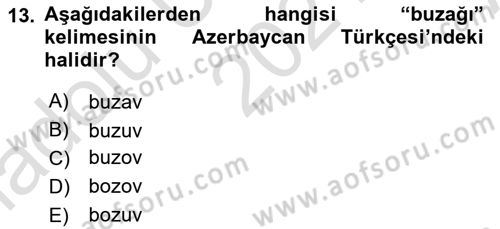 Çağdaş Türk Yazı Dilleri 1 Dersi Ara Sınavı Deneme Sınav Soruları 13. Soru