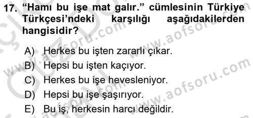 Çağdaş Türk Yazı Dilleri 1 Dersi Ara Sınavı Deneme Sınav Soruları 17. Soru