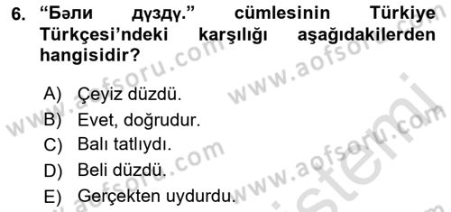 Çağdaş Türk Yazı Dilleri 1 Dersi 2021 - 2022 Yılı (Final) Dönem Sonu Sınav Soruları 6. Soru