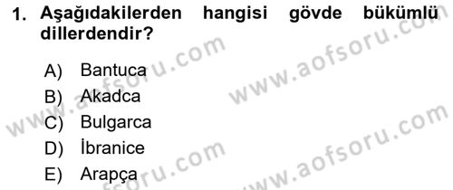 Çağdaş Türk Yazı Dilleri 1 Dersi 2022 - 2023 Yılı (Final) Dönem Sonu Sınav Soruları 1. Soru
