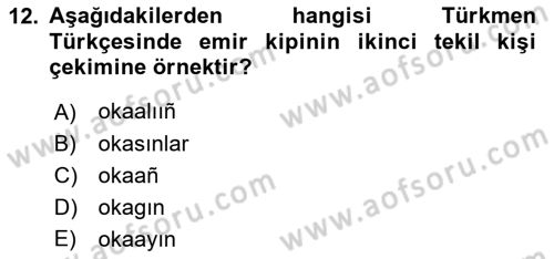 Çağdaş Türk Yazı Dilleri 1 Dersi 2022 - 2023 Yılı (Final) Dönem Sonu Sınavı 12. Soru