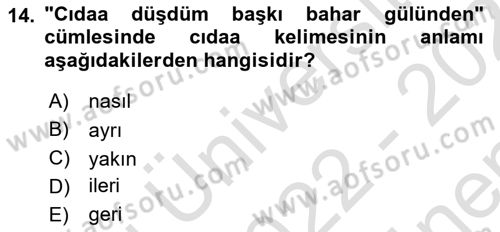 Çağdaş Türk Yazı Dilleri 1 Dersi 2022 - 2023 Yılı (Final) Dönem Sonu Sınavı 14. Soru