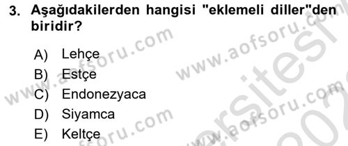 Çağdaş Türk Yazı Dilleri 1 Dersi 2022 - 2023 Yılı (Final) Dönem Sonu Sınav Soruları 3. Soru