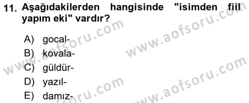 Çağdaş Türk Yazı Dilleri 1 Dersi Ara Sınavı Deneme Sınav Soruları 11. Soru