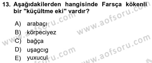 Çağdaş Türk Yazı Dilleri 1 Dersi Ara Sınavı Deneme Sınav Soruları 13. Soru