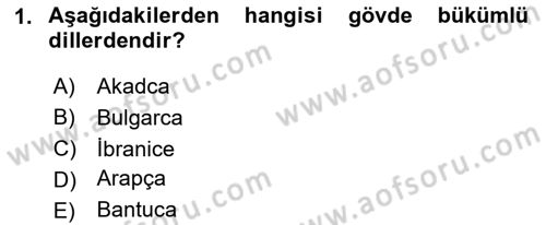 Çağdaş Türk Yazı Dilleri 1 Dersi Ara Sınavı Deneme Sınav Soruları 1. Soru