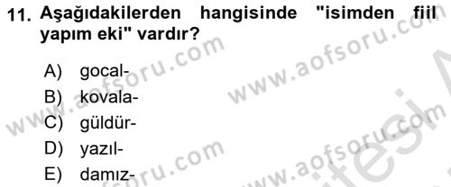 Çağdaş Türk Yazı Dilleri 1 Dersi Ara Sınavı Deneme Sınav Soruları 11. Soru