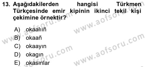Çağdaş Türk Yazı Dilleri 1 Dersi 2024 - 2025 Yılı (Final) Dönem Sonu Sınav Soruları 13. Soru