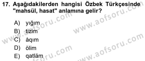 Çağdaş Türk Yazı Dilleri 1 Dersi 2024 - 2025 Yılı (Final) Dönem Sonu Sınav Soruları 17. Soru