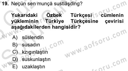 Çağdaş Türk Yazı Dilleri 1 Dersi 2024 - 2025 Yılı (Final) Dönem Sonu Sınav Soruları 19. Soru