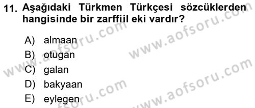 Çağdaş Türk Yazı Dilleri 1 Dersi 2024 - 2025 Yılı Yaz Okulu Sınav Soruları 11. Soru