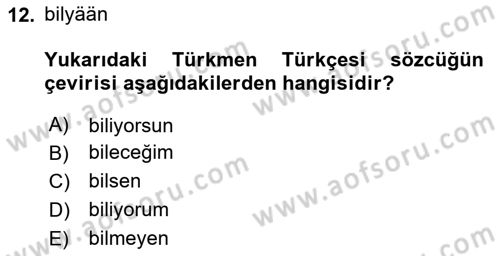 Çağdaş Türk Yazı Dilleri 1 Dersi 2024 - 2025 Yılı Yaz Okulu Sınav Soruları 12. Soru