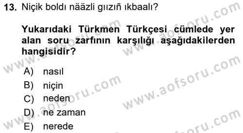 Çağdaş Türk Yazı Dilleri 1 Dersi 2024 - 2025 Yılı Yaz Okulu Sınav Soruları 13. Soru