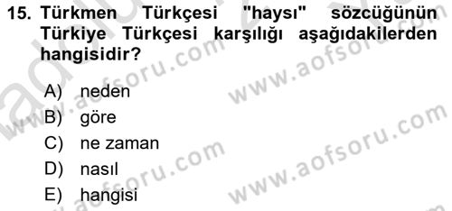 Çağdaş Türk Yazı Dilleri 1 Dersi 2024 - 2025 Yılı Yaz Okulu Sınav Soruları 15. Soru