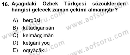 Çağdaş Türk Yazı Dilleri 1 Dersi 2024 - 2025 Yılı Yaz Okulu Sınav Soruları 16. Soru