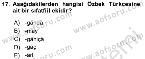 Çağdaş Türk Yazı Dilleri 1 Dersi 2024 - 2025 Yılı Yaz Okulu Sınav Soruları 17. Soru
