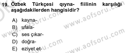 Çağdaş Türk Yazı Dilleri 1 Dersi 2024 - 2025 Yılı Yaz Okulu Sınav Soruları 19. Soru