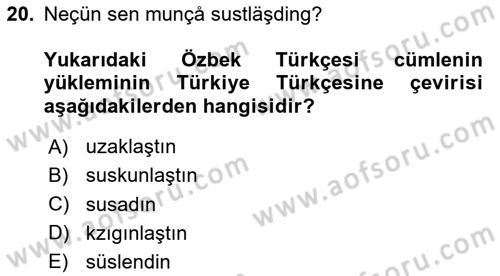 Çağdaş Türk Yazı Dilleri 1 Dersi 2024 - 2025 Yılı Yaz Okulu Sınav Soruları 20. Soru