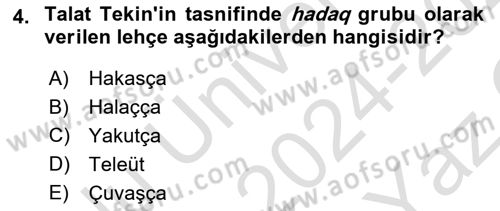 Çağdaş Türk Yazı Dilleri 1 Dersi 2024 - 2025 Yılı Yaz Okulu Sınav Soruları 4. Soru