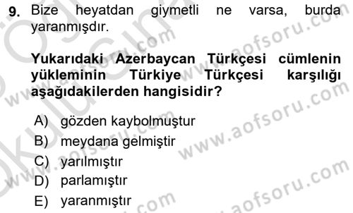 Çağdaş Türk Yazı Dilleri 1 Dersi 2024 - 2025 Yılı Yaz Okulu Sınav Soruları 9. Soru