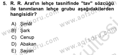 Çağdaş Türk Yazı Dilleri 1 Dersi 2025 - 2026 Yılı (Vize) Ara Sınav Soruları 5. Soru
