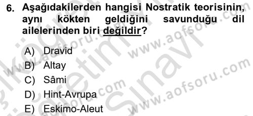 Çağdaş Türk Yazı Dilleri 1 Dersi 2025 - 2026 Yılı (Vize) Ara Sınav Soruları 6. Soru