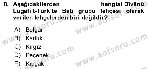 Çağdaş Türk Yazı Dilleri 1 Dersi 2025 - 2026 Yılı (Vize) Ara Sınav Soruları 8. Soru