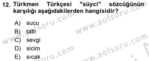 Çağdaş Türk Yazı Dilleri 1 Dersi 2025 - 2026 Yılı (Final) Dönem Sonu Sınav Soruları 12. Soru