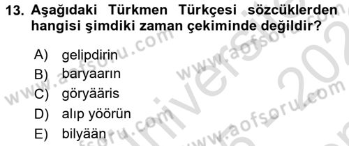 Çağdaş Türk Yazı Dilleri 1 Dersi 2025 - 2026 Yılı (Final) Dönem Sonu Sınav Soruları 13. Soru