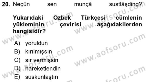 Çağdaş Türk Yazı Dilleri 1 Dersi 2025 - 2026 Yılı (Final) Dönem Sonu Sınav Soruları 20. Soru
