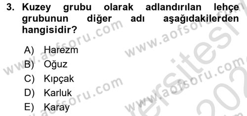Çağdaş Türk Yazı Dilleri 1 Dersi 2025 - 2026 Yılı (Final) Dönem Sonu Sınav Soruları 3. Soru