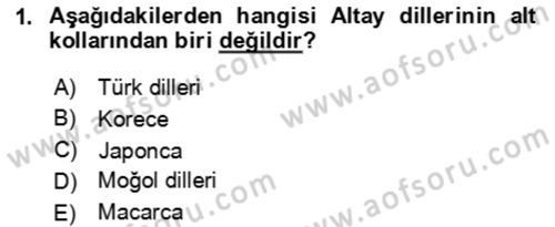 Çağdaş Türk Yazı Dilleri 1 Dersi 2025 - 2026 Yılı Yaz Okulu Sınav Soruları 1. Soru