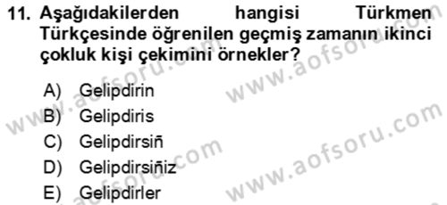 Çağdaş Türk Yazı Dilleri 1 Dersi 2025 - 2026 Yılı Yaz Okulu Sınav Soruları 11. Soru