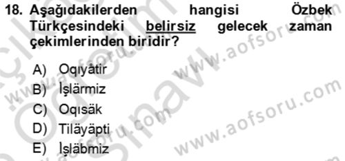 Çağdaş Türk Yazı Dilleri 1 Dersi 2025 - 2026 Yılı Yaz Okulu Sınav Soruları 18. Soru