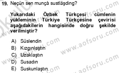 Çağdaş Türk Yazı Dilleri 1 Dersi 2025 - 2026 Yılı Yaz Okulu Sınav Soruları 19. Soru