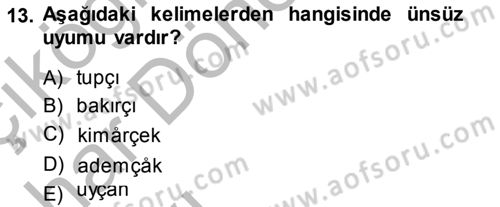 Çağdaş Türk Yazı Dilleri 2 Dersi 2014 - 2015 Yılı (Vize) Ara Sınav Soruları 13. Soru