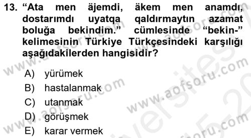 Çağdaş Türk Yazı Dilleri 2 Dersi 2015 - 2016 Yılı Tek Ders Sınav Soruları 13. Soru