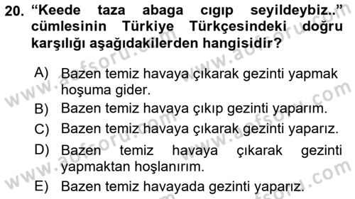 Çağdaş Türk Yazı Dilleri 2 Dersi 2015 - 2016 Yılı Tek Ders Sınav Soruları 20. Soru