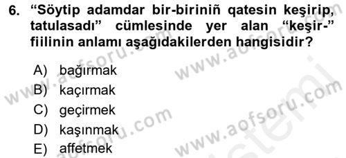 Çağdaş Türk Yazı Dilleri 2 Dersi 2015 - 2016 Yılı Tek Ders Sınav Soruları 6. Soru