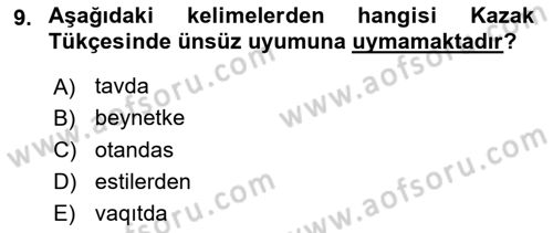 Çağdaş Türk Yazı Dilleri 2 Dersi 2015 - 2016 Yılı Tek Ders Sınav Soruları 9. Soru