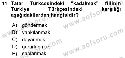 Çağdaş Türk Yazı Dilleri 2 Dersi 2016 - 2017 Yılı (Vize) Ara Sınav Soruları 11. Soru