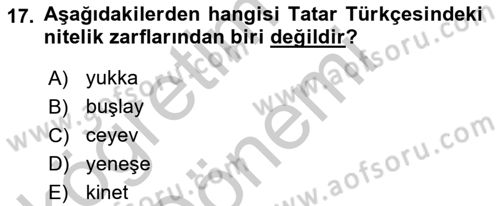 Çağdaş Türk Yazı Dilleri 2 Dersi 2016 - 2017 Yılı (Vize) Ara Sınav Soruları 17. Soru